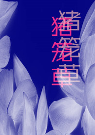 刀乙女猪笼草